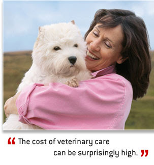 embrace pet insurance