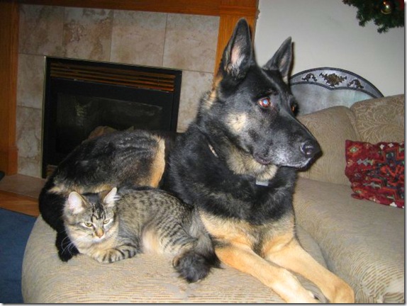 jake and Tessa 3