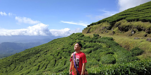 Wisata kebun teh gunung dempo pagar alam