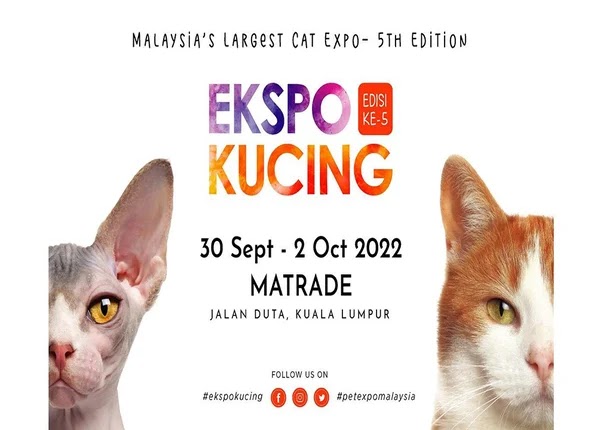 ekspo kucing 2022 matrade
