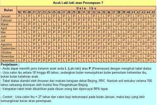 Contoh Html Tabel - Contoh 0208