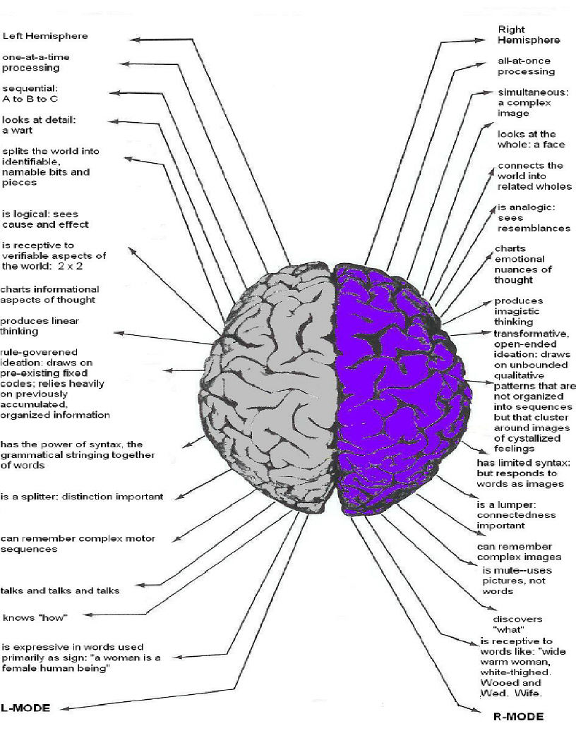 ucmassatwa: Brain (Left vs Right )