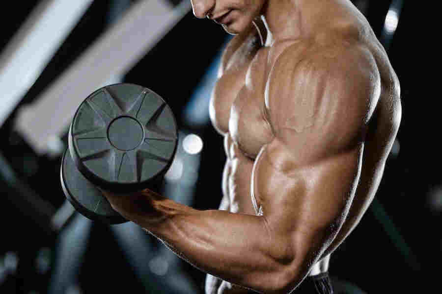exercise to build biceps