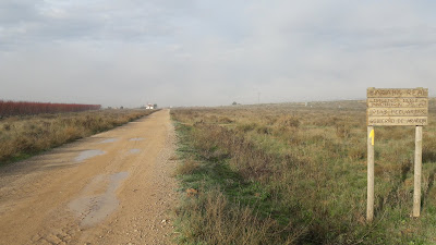 Camino de Santiago de Compostela, Candasnos en Bujaraloz, camino de la Cabañera Real