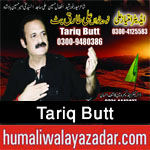 http://www.humaliwalayazadar.com/2016/08/tariq-butt-nohay-2011-to-2017.html