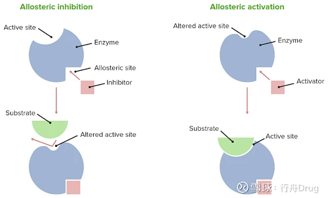 Allosteric Enzymes, Structure, and Functions
