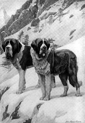 St. Bernard