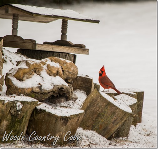 February 2016 (3 of 19)