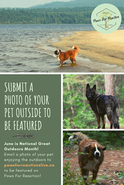 June is National Great Outdoors Month: Submit your pet to be featured