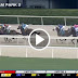 ¿ Que es Fanduel TV? (TVG) Carrera Caballos Americanas