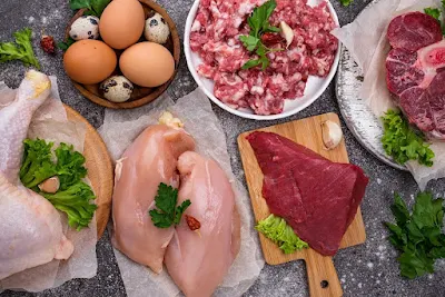 The Pros and Cons Animal-Based Nutrition