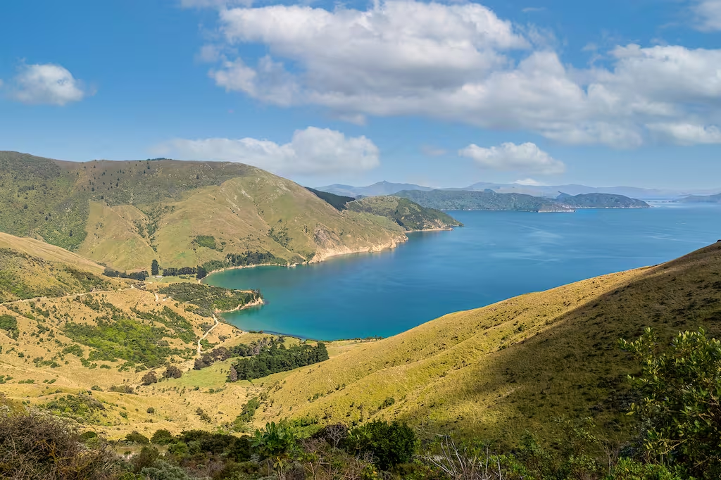 Hình ảnh nhìn từ trên xuống Vịnh Titirangi ở khu vực Malborough Sounds.