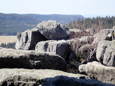 Sudety, Góry Stołowe, Szczeliniec Wielki