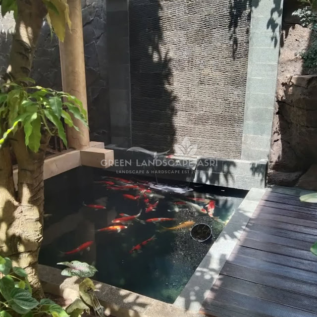 Tukang Kolam Koi Minimalis Pagar Alam - Bikin Kolam Ikan Berkualitas