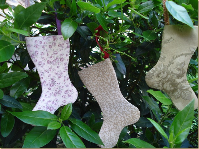 MAY FLOWERS TRASERA