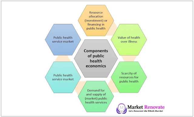 basic-scope-or-components-of-public-health-economics