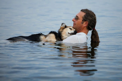 perrito enfermo con artritis duermiendo en el pecho de su amo en el agua de un lago