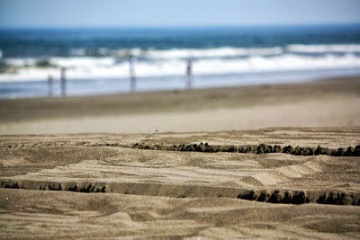大網白里浜