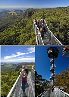 III awara Fly Tree Top Walk (Australia)