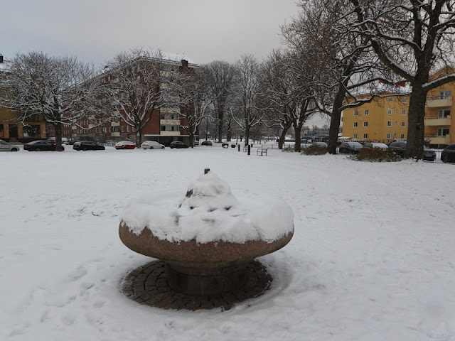 Fast fåglarna tyckte nog nåt annat när drickat var fruset.