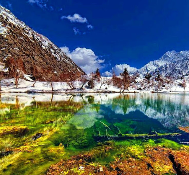 Naltar Valley a Beautiful Scene Start Winter 