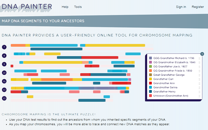 The Blundering Dna Genealogist For Dna Painter Enthusiasts - 