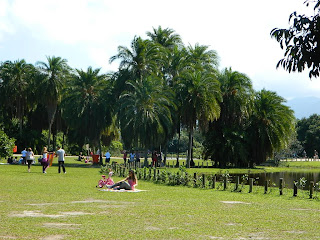 Image result for parque con bosque