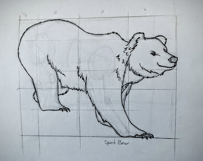 drawing of bear