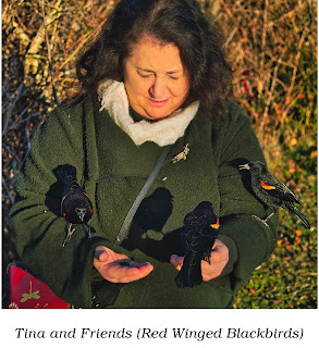 Tina and Friends (Red Winged Blackbirds)