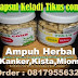 IKLAN PERCUMA: KELADI TIKUS 08179556329  |JUAL KELADI TIKUS |  KAPSUL KELADI T