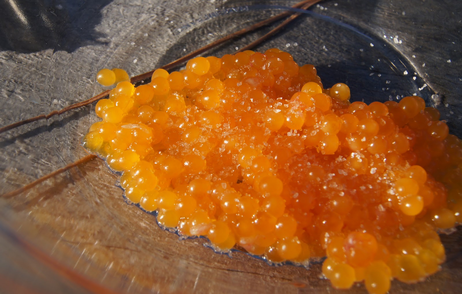 Trout Caviar: How to Make Trout Caviar