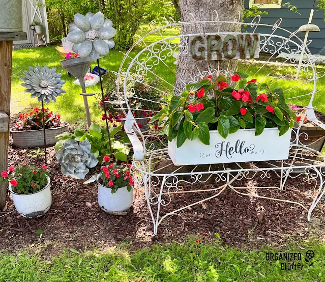 Photo of begonias & impatiens in a junk garden under a tree.