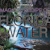 Florida Water Recipe and its Magical uses