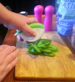 Using Oxo Good Grips Herb Mincer