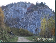 C0019.MP4_snapshot_00.35.661 C0019.MP4_snapshot_00.35.661