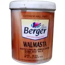 Walmasta Exterior Texture Super Fine|berger paints bangladesh price list 2023