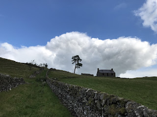 A photo of a grassy path with a drystone dyke running up along the side of it - in the distance is a derelict looking cottage type building with a lone tree standing off to one side - this is Upper Bardennoch Farm.  Photo by Kevin Nosferatu for the Skulferatu Project.