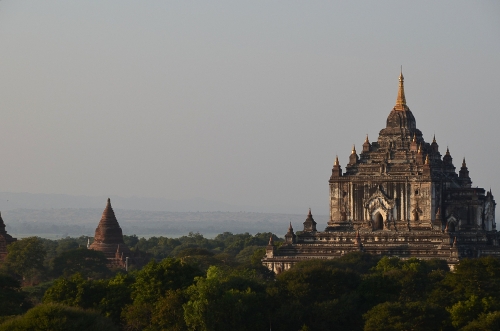 PAGAN, BAGAN, BIRMA, JOLA STĘPIEŃ