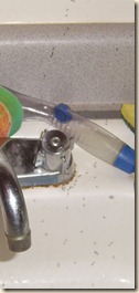 ants close in