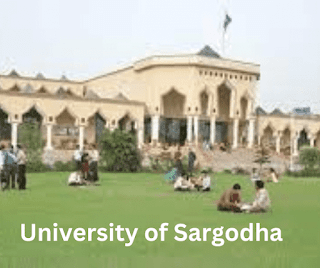 University of Sargodha