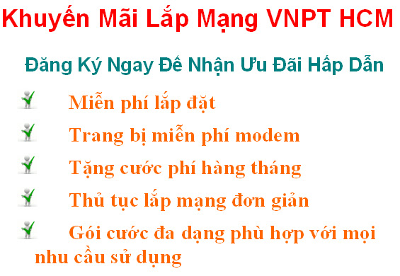 lap-mang-vnpt-hcm