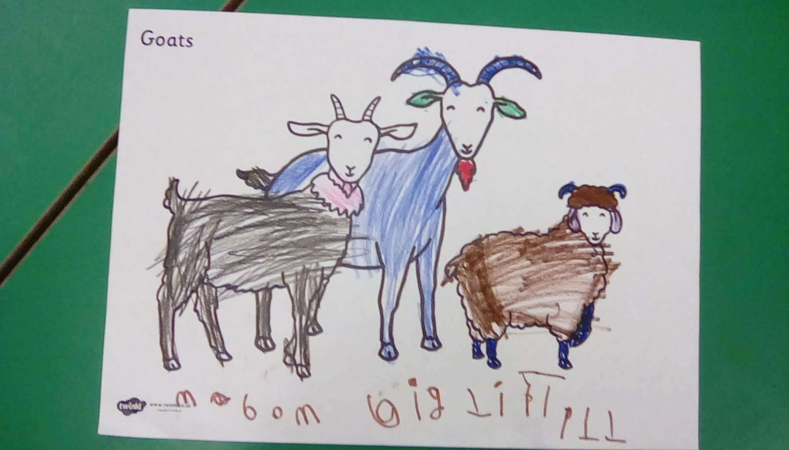 Willows And Hazels The Three Billy Goats Gruff