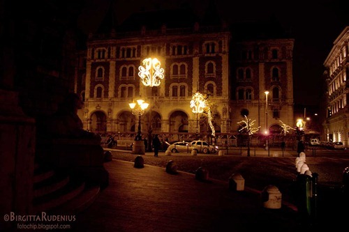 street_20111125_night1