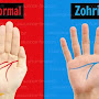 What Are The Characteristics and Skills of The Zohari Man?