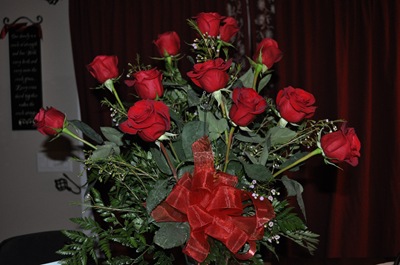 DSC_0118 DSC_0118