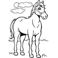 Best Of Horse Coloring Pages Animals