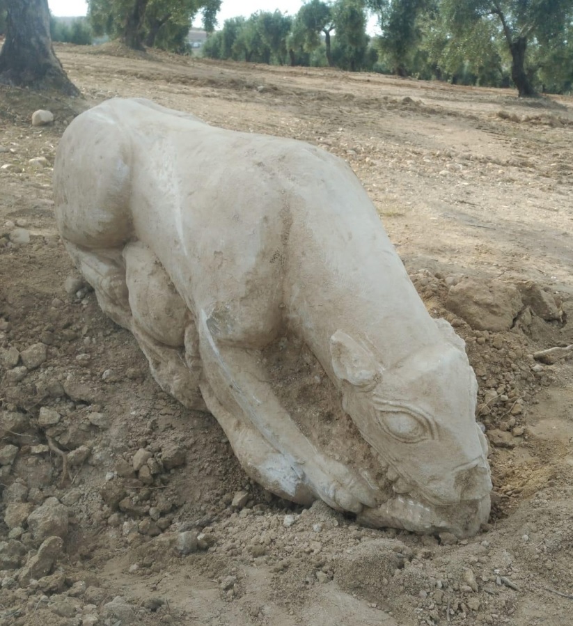 Escultura de leona íbera hallada en Córdoba en 2020