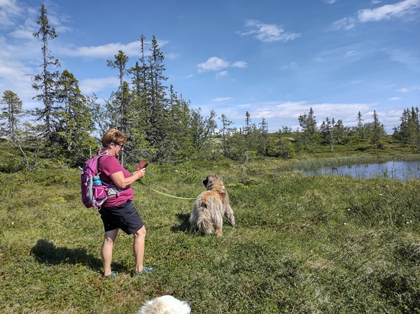 hallingdal flå turufjell stolpejakt