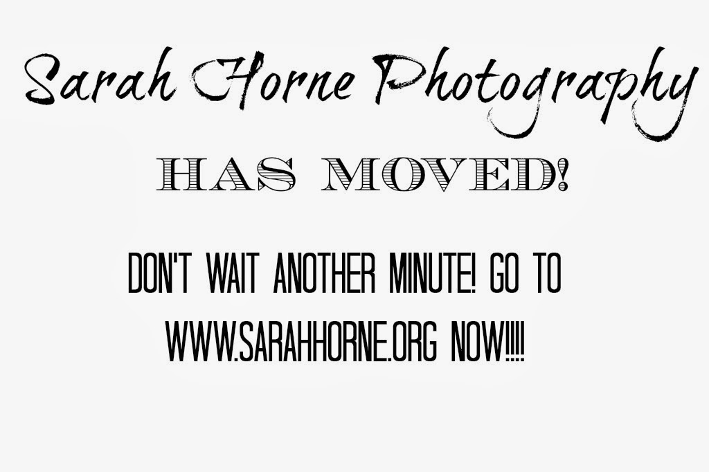 Sarah Horne Photography