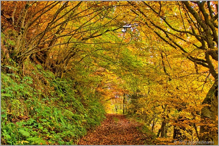 DSC_4553-HDR(3)